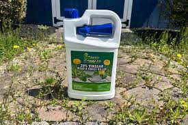 Read more about the article The Best Weed Killer for Lawns: Top Choices for a Beautiful Yard