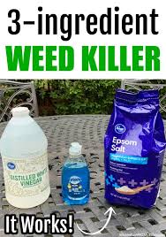 You are currently viewing Effective DIY Weed Killer Solutions for Your Garden