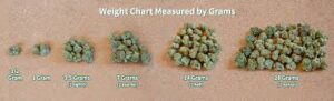 Read more about the article Understanding the Basics: What Is a Gram of Weed?