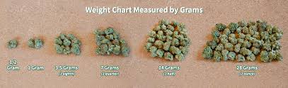 You are currently viewing Understanding the Basics: What Is a Gram of Weed?