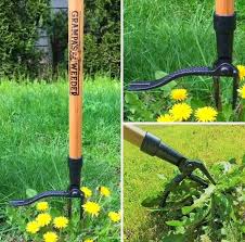 Read more about the article The Timeless Tool: Why Grandpa’s Weeder Deserves a Place in Your Garden