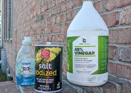 You are currently viewing The Ultimate Homemade Weed Killer Recipe: Safe and Effective Solutions for Your Garden