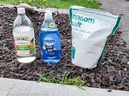 Read more about the article The Ultimate Guide to Homemade Weed Killer: Effective Solutions for a Weed-Free Garden