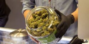 Read more about the article Is Weed Legal in Arizona?