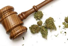 Read more about the article Is Weed Legal in Maryland? A Comprehensive Overview