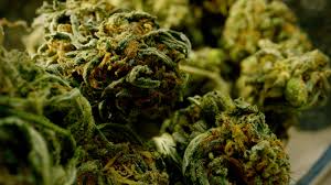 Read more about the article Is Weed Legal in North Carolina? A Comprehensive Overview