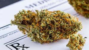 Read more about the article Is Weed Legal in Tennessee? A Comprehensive Overview