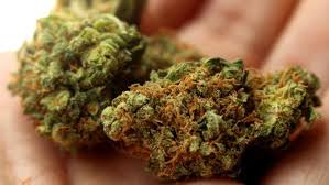 Read more about the article Is Weed Legal in Virginia? A Comprehensive Guide