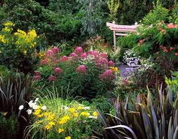 You are currently viewing Joe Pye Weed: The Gardener’s Best-Kept Secret for Attracting Pollinators