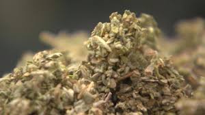 You are currently viewing Understanding K2 Weed: The Risks and Realities