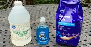 Read more about the article Natural Weed Killer: Eco-Friendly Solutions for a Greener Garden