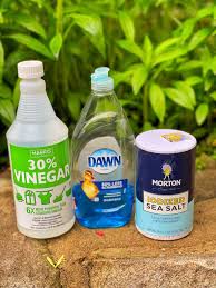 You are currently viewing Effective Natural Weed Killer Recipe for a Healthier Garden