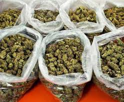 Read more about the article The Economics and Legal Implications of a Pound of Weed