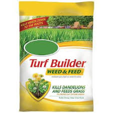 Read more about the article Understanding Weed and Feed: A Comprehensive Guide