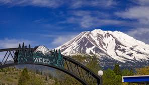 Read more about the article The Evolution of Cannabis in California: A Comprehensive Look at “Weed California”