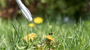 Read more about the article Choosing the Best Weed Killer for Lawns: A Comprehensive Guide