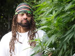 You are currently viewing Weed Man: A Growing Presence in the Lawn Care Industry