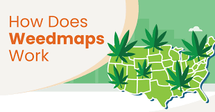 You are currently viewing Exploring Weed Maps: A Digital Revolution in Cannabis Access