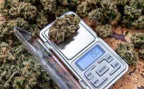 Read more about the article Understanding Weed Measurements: A Guide to Precision in Gardening