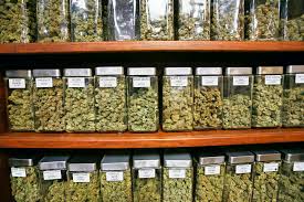 Read more about the article Finding the Best Weed Store Near Me: A Comprehensive Guide