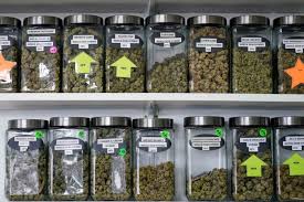 You are currently viewing The Rise of Weed Stores: A Changing Landscape in Cannabis Retail