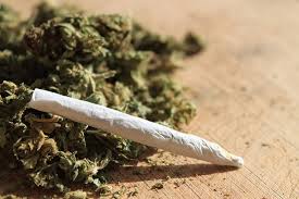 Read more about the article Understanding Weed: Its Uses, Benefits, and Risks