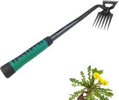 You are currently viewing The Essential Weeding Tool: A Gardener’s Best Friend