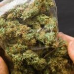 The Value of an Ounce of Weed: A Comprehensive Guide