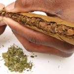 Exploring the World of Blunt Weed: A Guide for Enthusiasts