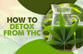 You are currently viewing Detox Weed: Understanding the Process and Importance