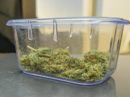 Read more about the article Does Weed Expire? Understanding the Shelf Life of Cannabis