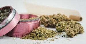 Read more about the article The Ultimate Guide to Grinder Weed: Why It’s Essential for Cannabis Enthusiasts