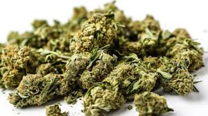 Read more about the article How Much for an Ounce of Weed? Understanding the Costs