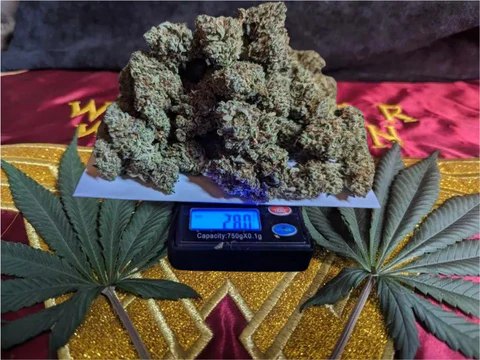 You are currently viewing Understanding Weed Measurements: How Much Is 1.5 Oz?