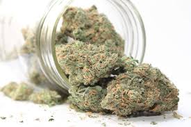 Read more about the article Understanding Indica Weed: The Benefits and Uses