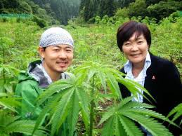 You are currently viewing Is Weed Legal in Japan?