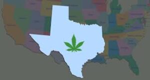 Read more about the article Is Weed Legal in Texas?