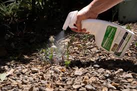 You are currently viewing Organic Weed Killer: A Natural Solution for a Healthier Garden