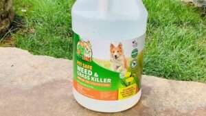 Read more about the article Pet Safe Weed Killer: Keeping Your Lawn Beautiful and Your Pets Safe