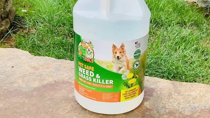 You are currently viewing Pet Safe Weed Killer: Keeping Your Lawn Beautiful and Your Pets Safe