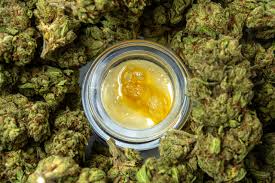 Read more about the article The Rising Trend of Wax Weed: Everything You Need to Know