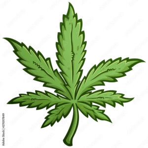 Read more about the article A Guide to Weed Leaf Drawing: Techniques, Styles, and Tips