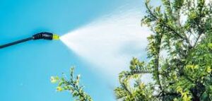 Read more about the article The Ultimate Guide to Weed Spray: Effective Solutions for Your Garden