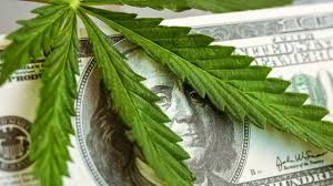 Read more about the article The Rise of Weed Stocks: Navigating the Green Investment Landscape