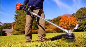 Read more about the article The Rise of the Weed Waker: Revolutionizing Lawn Care