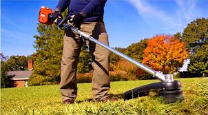 You are currently viewing The Rise of the Weed Waker: Revolutionizing Lawn Care