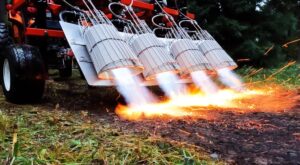 Read more about the article The Flame Weeder: A Sustainable Tool for Weed Control