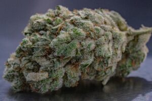 Read more about the article GG4 Weed Strain: A Complete Guide to Gorilla Glue #4