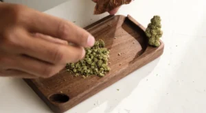 Read more about the article The Art and Importance of Grinding Weed: Why It’s Essential for a Better Smoking Experience