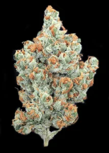 Read more about the article 24 Karat Gold Strain | Express Weeds Shop